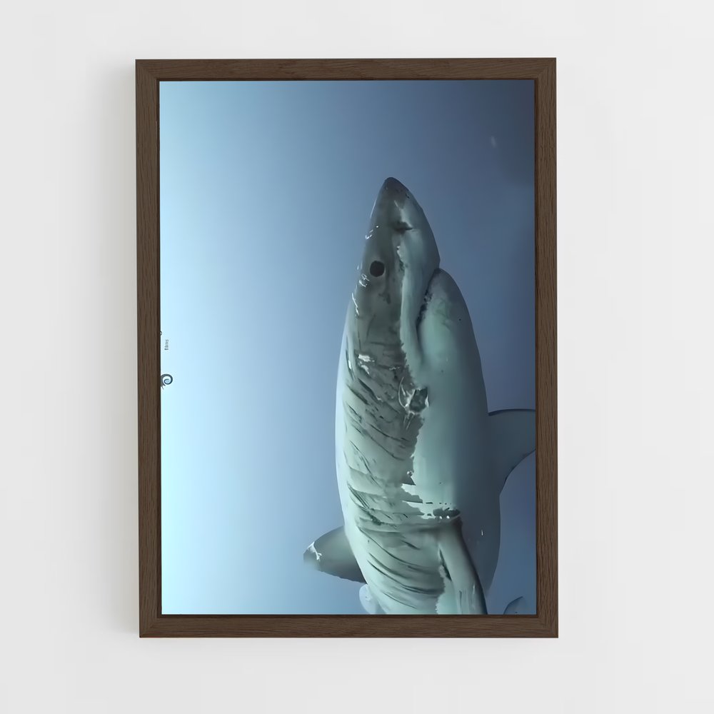 Poster Les Profondeurs Sauvages – affiche Plongée sous-marine (vue 5)